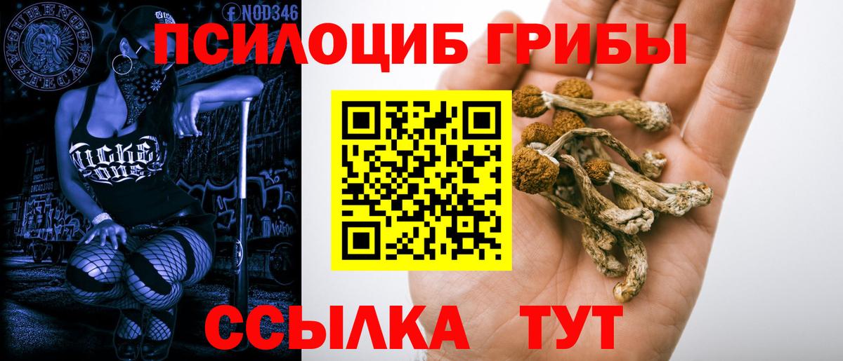 наркошоп  Вход с VPN  Псилоцибиновые грибы Psilocybe  Нарткала  Галлюциногенные грибы GOLDEN TEACHER 