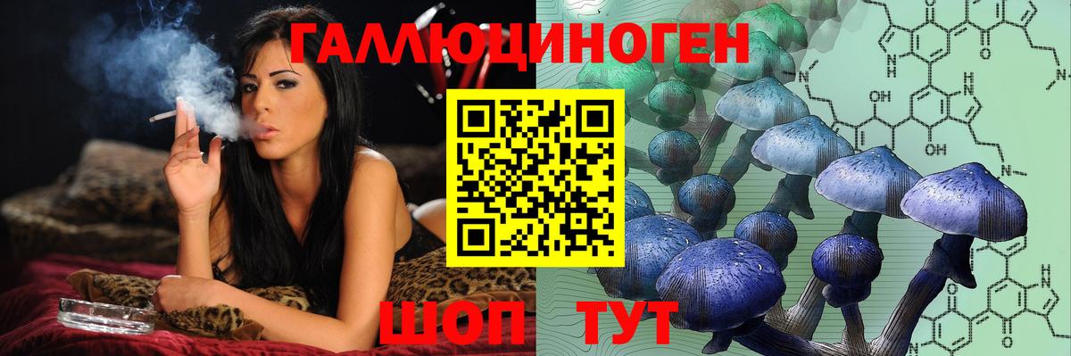 Галлюциногенные грибы Psilocybine cubensis Нарткала